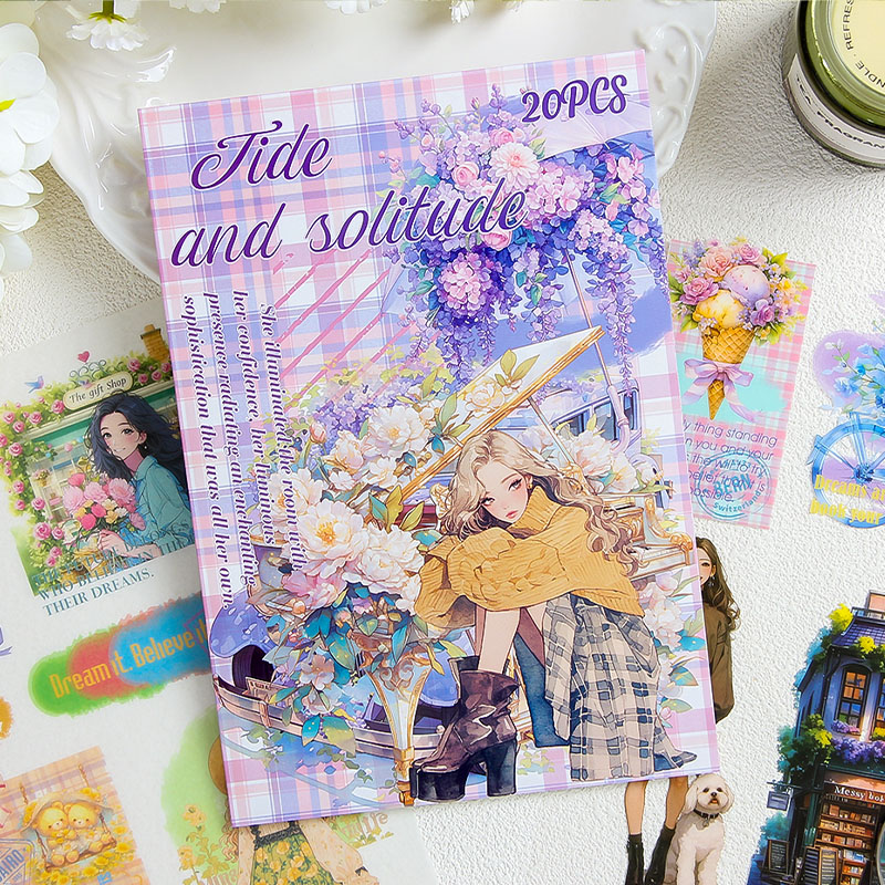 20 pcs/book PET Stickers book  - Vintage Collectible Books review and price